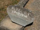 image of grave number 865778